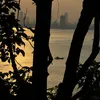 longvongdanang