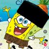 dody.dody780