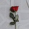 nature_life_words