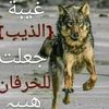 user5459077221534