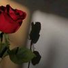 user9409092502283
