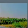 user5719790211920