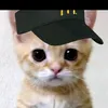 s_08czxx