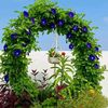 sumon81285