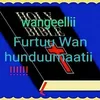 boonii.wllgaa