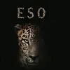 esso_kurdish