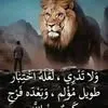 user81181167277391
