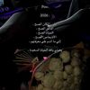 mayar.ramadan65
