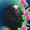 rafiya.islam330