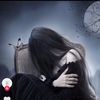 habiba.ali8085