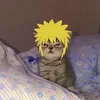 lenda.da.anbu