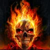 tom1567891540