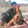 adnan.khan53626