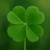 🍀