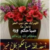 user8617675614111
