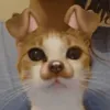 achaoktopa