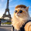 cute.cat3691