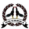 mr.cobra_4