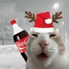 cathepenguin5