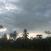 arsylanurfebriyanti
