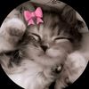 tanvir__bro__09