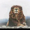 .afshan.king