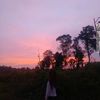 urlovesela0