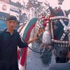 hasnainabbas1451