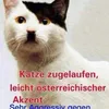 adolf7975