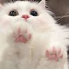 cute.video105