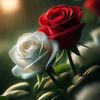 rani.s.780