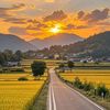 arya_tzy06