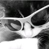 its_joyouna