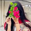 abiha112230