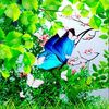 mss.landan8