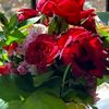 raed8694