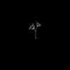 Frad∆