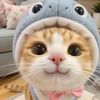sheila_jisung