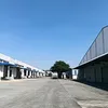 nga.long.tin.sinh02