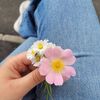 galibloom