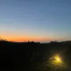 marti_destefano