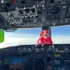 The 737 guy