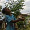 midat.setiawan
