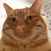 ongnoimaytoichoi3