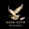 kurd.kotr
