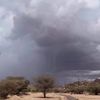 nawaf91149