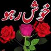 user3951227856247