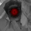alreyan.1