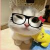 user16167605105912