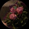 ibraw66